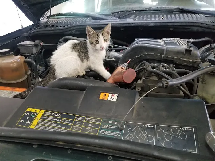 Gabi's Auto Repair & Body Shop 7