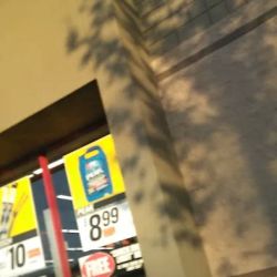 AutoZone Auto Parts ico