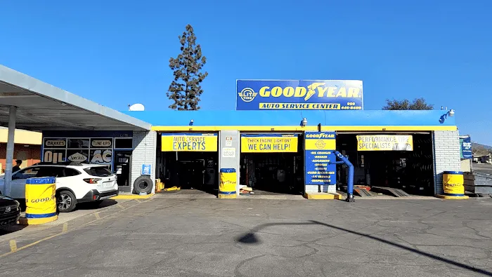 Goodyear Elite Tire 3