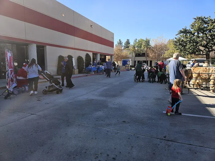 Napa Auto Parts 9
