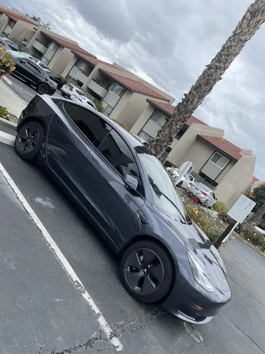 Stealth Pro Wraps, Tints and Prints 9