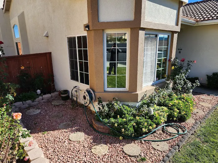 Midnight Window Tint 8