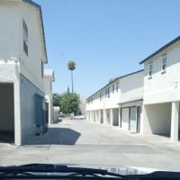 MK Windows Tint