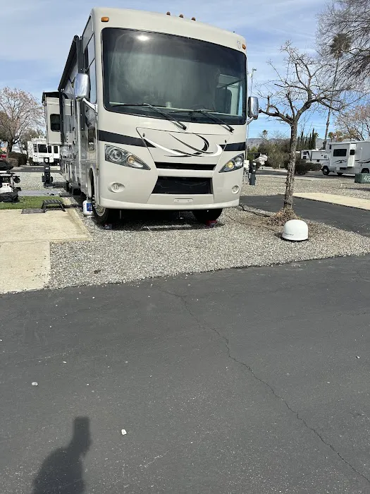 Absolute RV Care 6