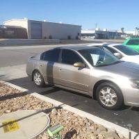 Monster Tint Shop