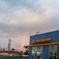 NAPA Auto Parts