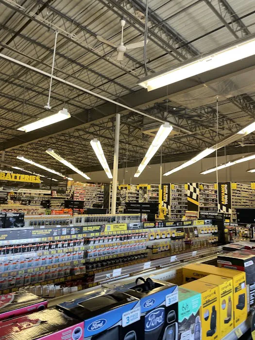 Advance Auto Parts 8