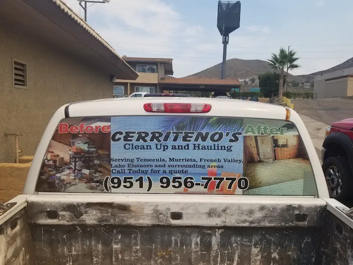 217 Mobile Tint Services 4