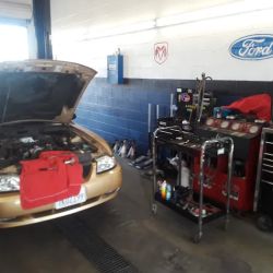 Canyon Lake Muffler ico