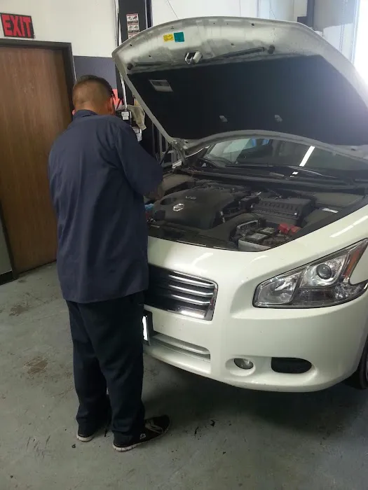 Divine Automotive and Smog 5