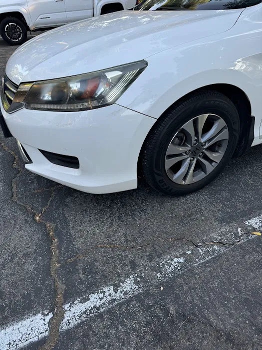 Bumper Specialists 1