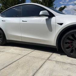 Mr Tint ico