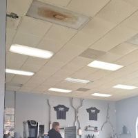 Smog Check