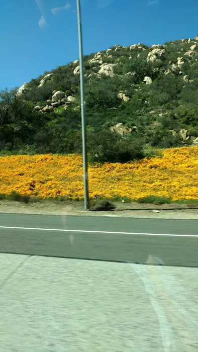 California Chip Repair 2