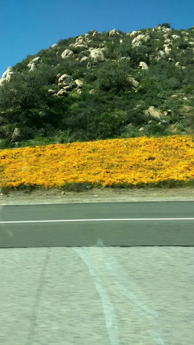 California Chip Repair 0