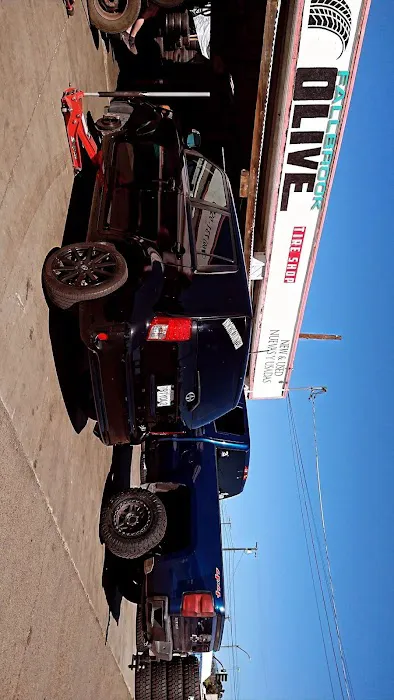 Olive tire shop 0