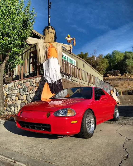 Olive tire shop 2