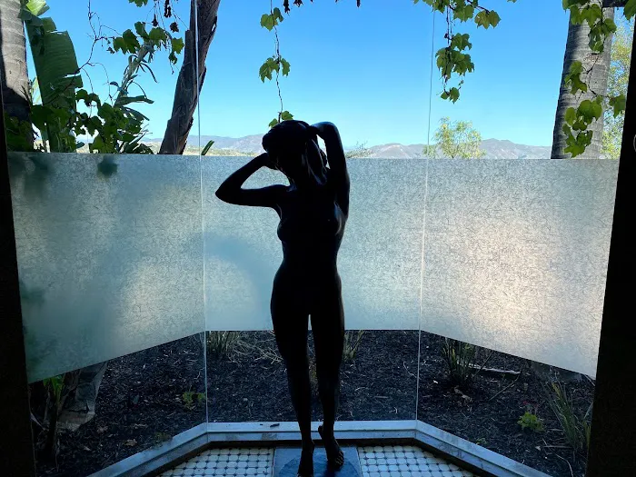 RC Window films 6