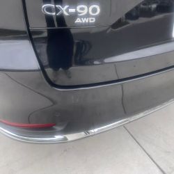 Sal's Dent Worx ico