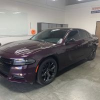 True Tint Window Tinting