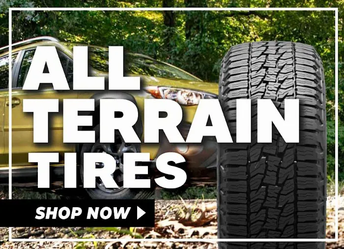 Fred's Automotive 9