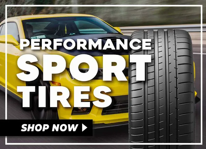 Fred's Automotive 7