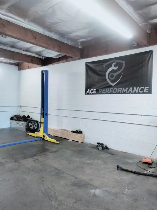 ACE PERFORMANCE 0