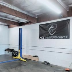 ACE PERFORMANCE ico