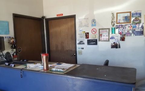 Auto Electric Repair