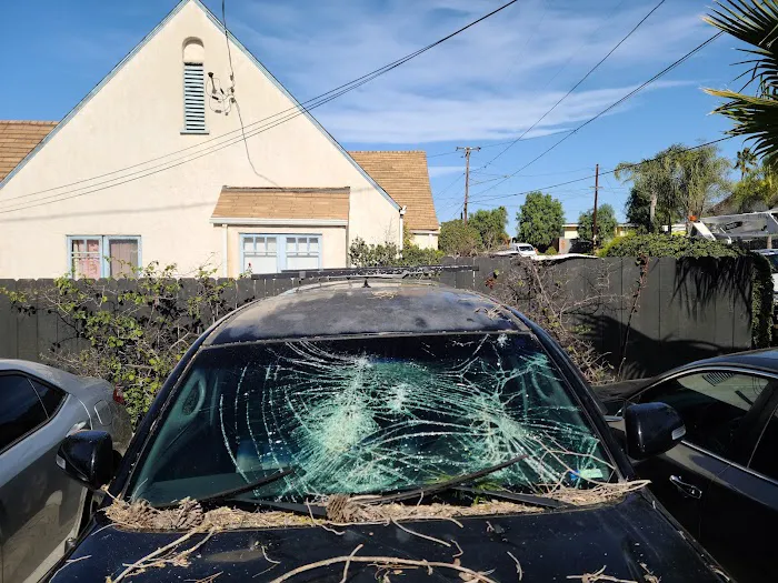 TLC Auto Body 4