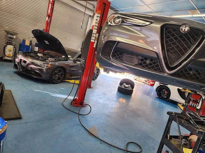 HG Performance 7