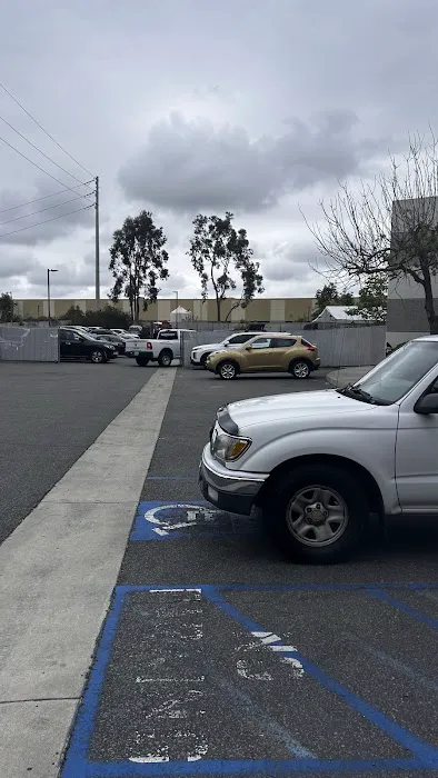 Caliber Collision 9