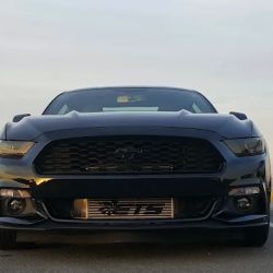 Discount Alignment & Car Care Service ico
