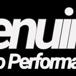 Genuine Auto Performance LLC ico