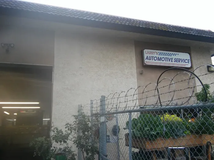 Larry's BMW Repair Service 2