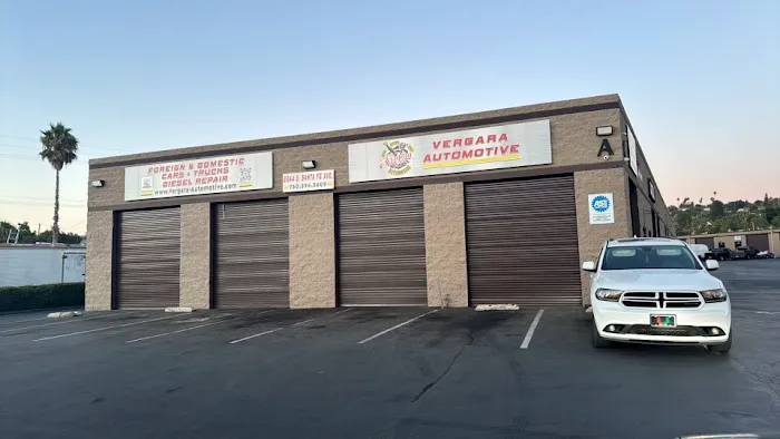 Vergara Automotive 3