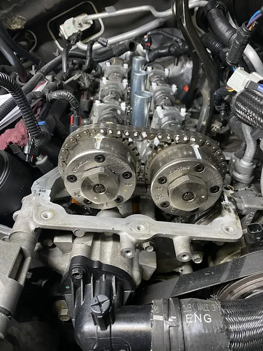 Vergara Automotive 7