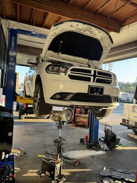 Vergara Automotive 6