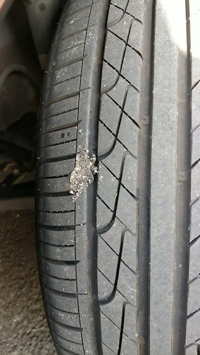 Olive Tire Shop 7
