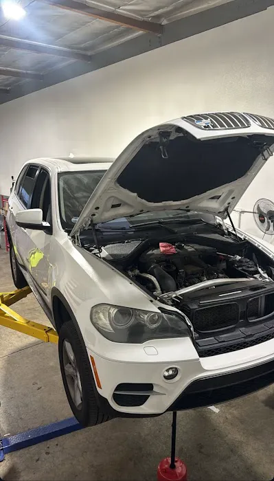Momentum Auto 4