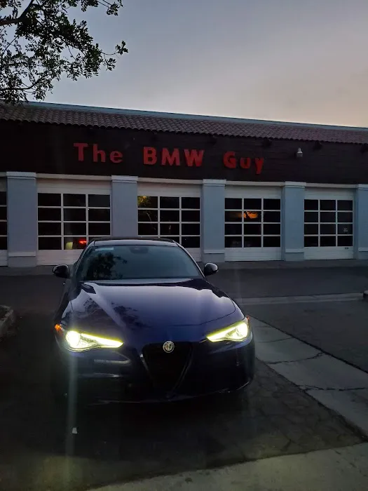 The BMW Guy 5