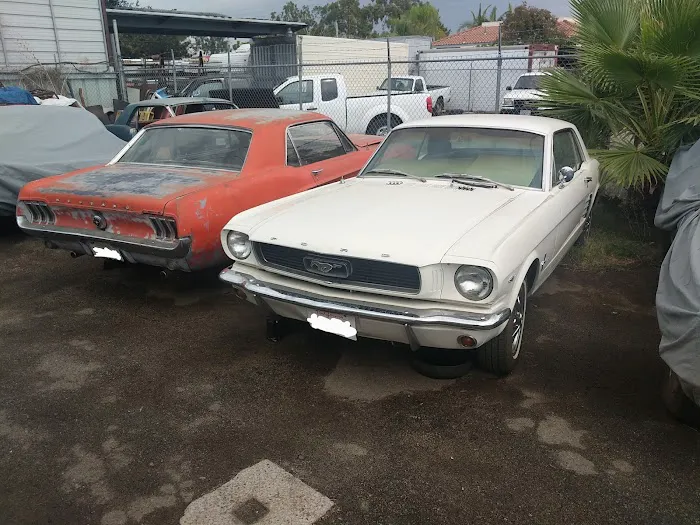 Classic Mustang 1