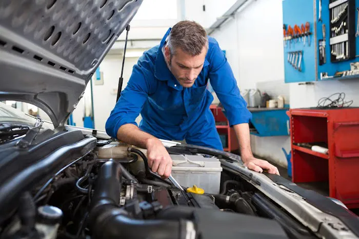 World Auto Body 2