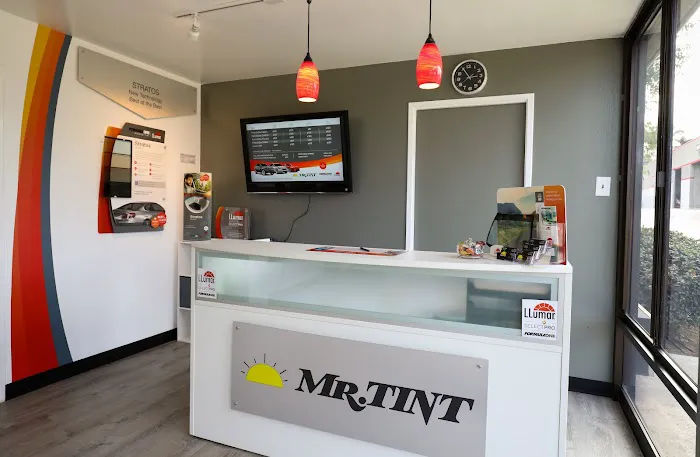 Mr. Tint 1