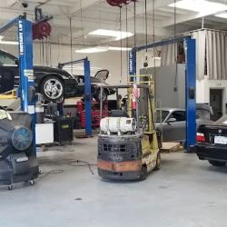 All German Auto ico
