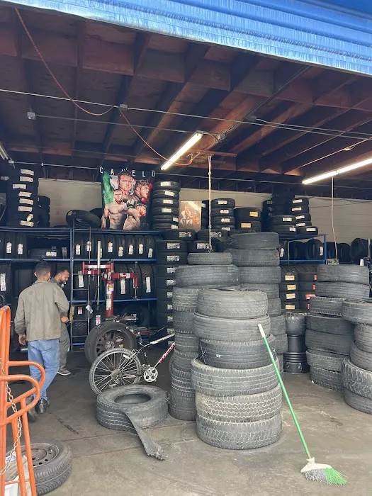 Reyes Tires Pro 6
