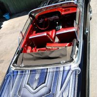 Specialized Automotive
