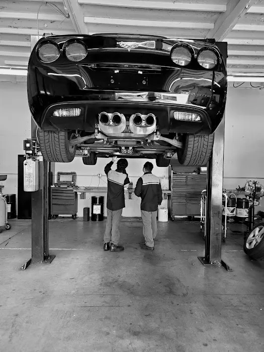 Alternative Automotive 1