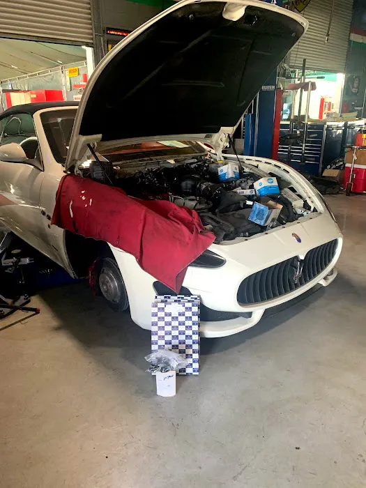 SD Italian - The Italian Car Specialist/Italian Car Repair 0