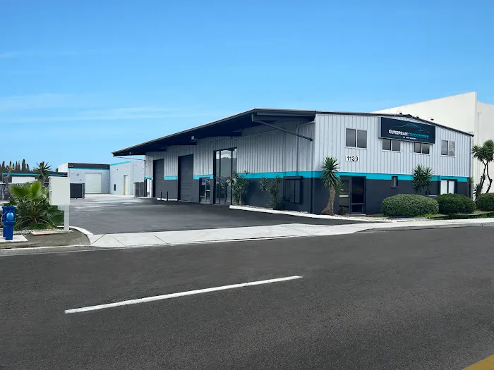 European Coachworks of San Marcos 8